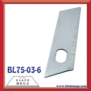 Stainless steel blade